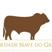 (c) Nave-do-grou.com